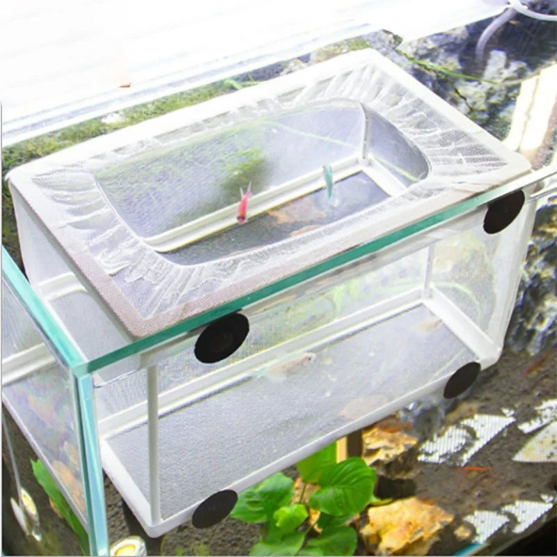 Fish Breeding Isolation Box