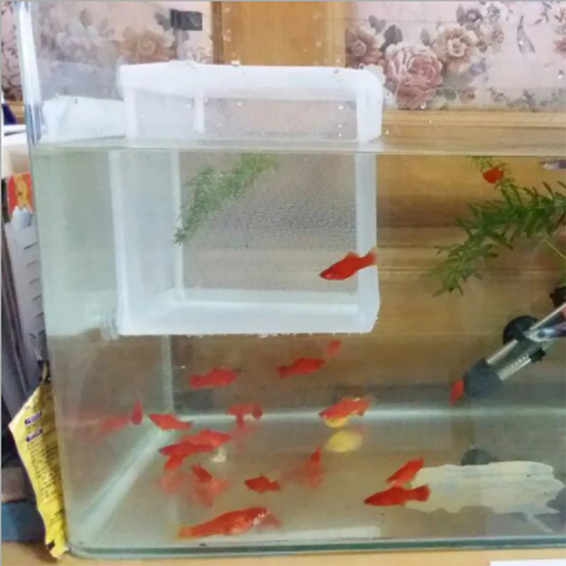 Fish Breeding Isolation Box