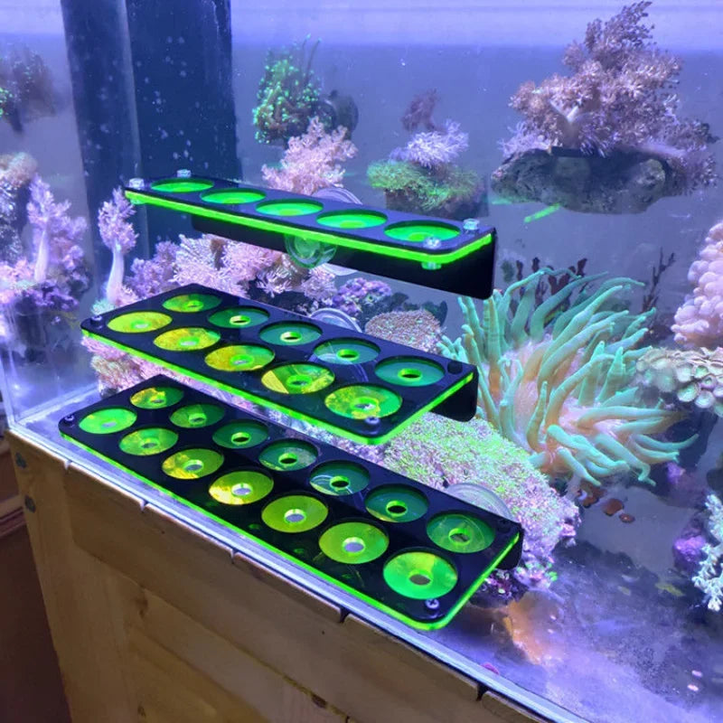 Fluorescent Coral Frag Bracket