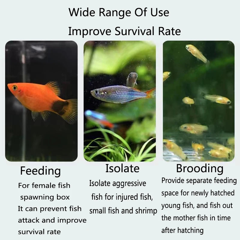 Fish Breeding Isolation Box