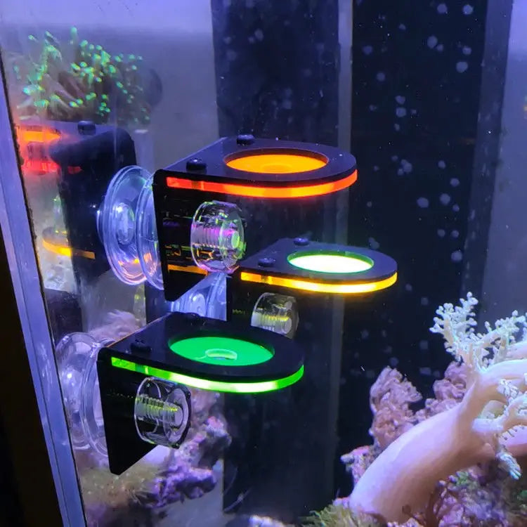Fluorescent Coral Frag Bracket