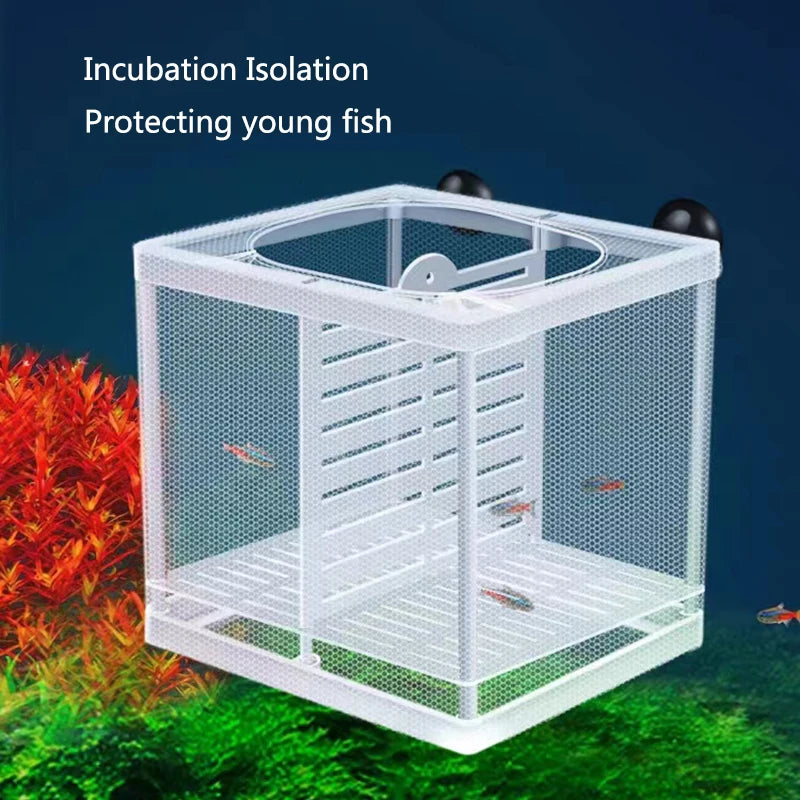 Fish Breeding Isolation Box
