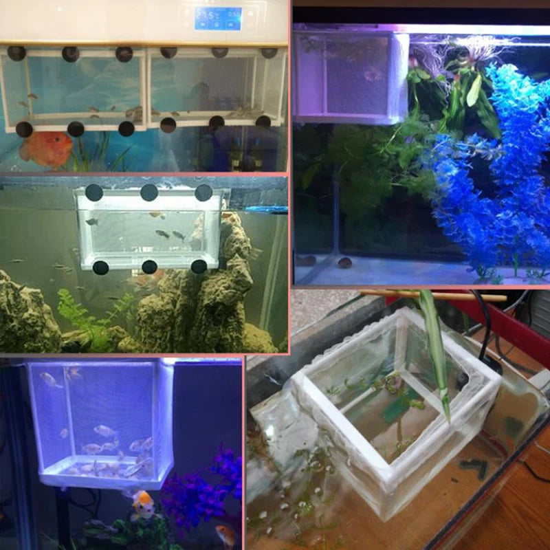 Fish Breeding Isolation Box