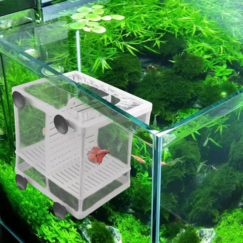 Fish Breeding Isolation Box