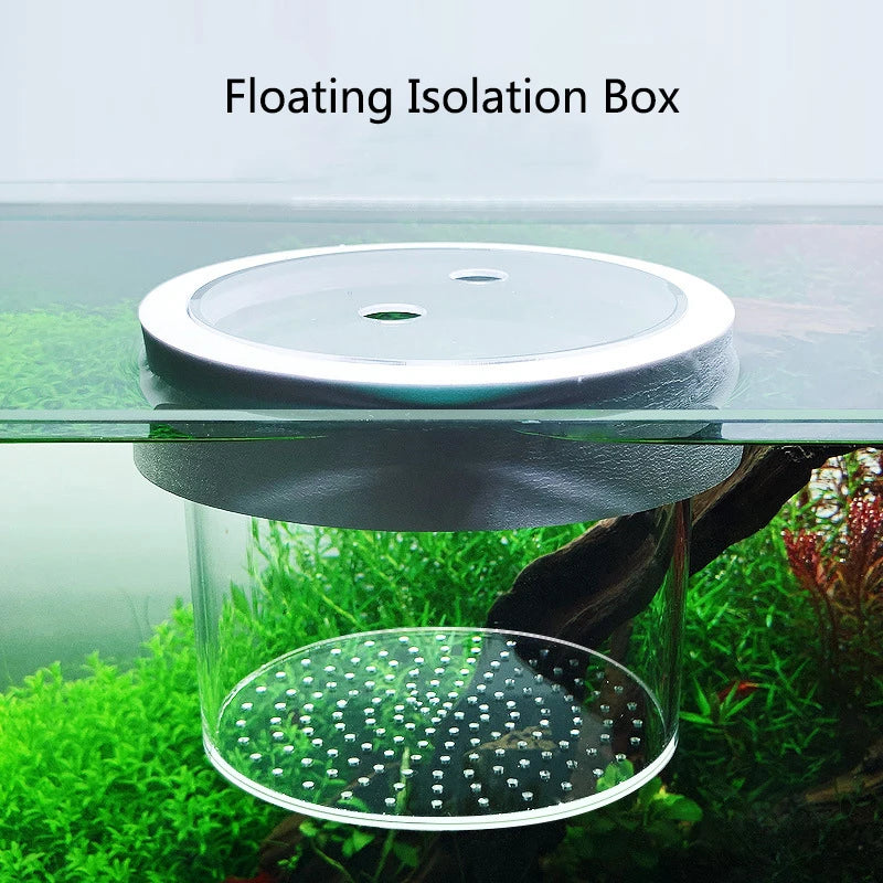 Fish Breeding Isolation Box
