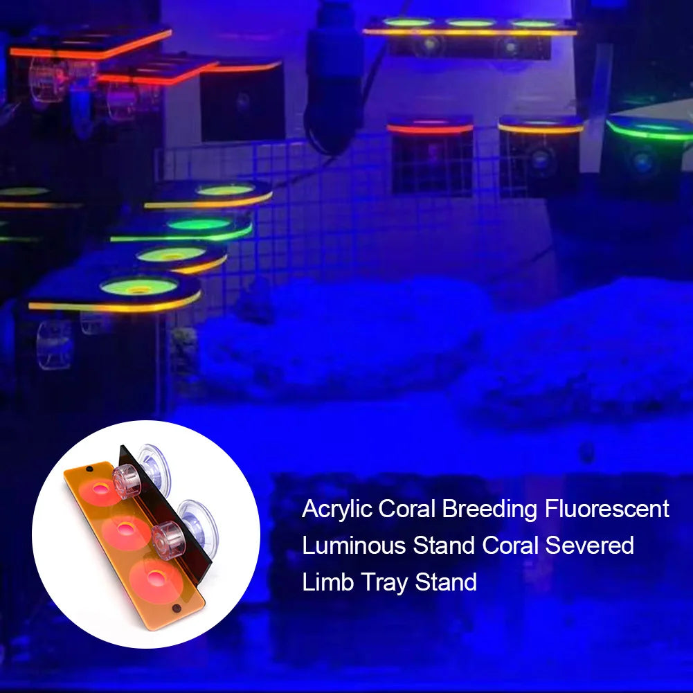 Fluorescent Coral Frag Bracket