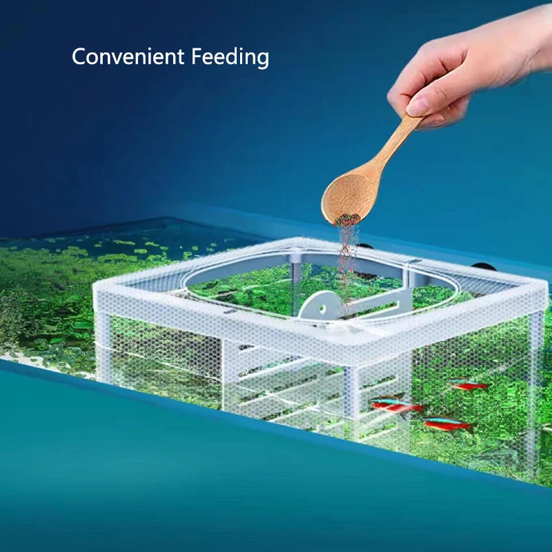 Fish Breeding Isolation Box