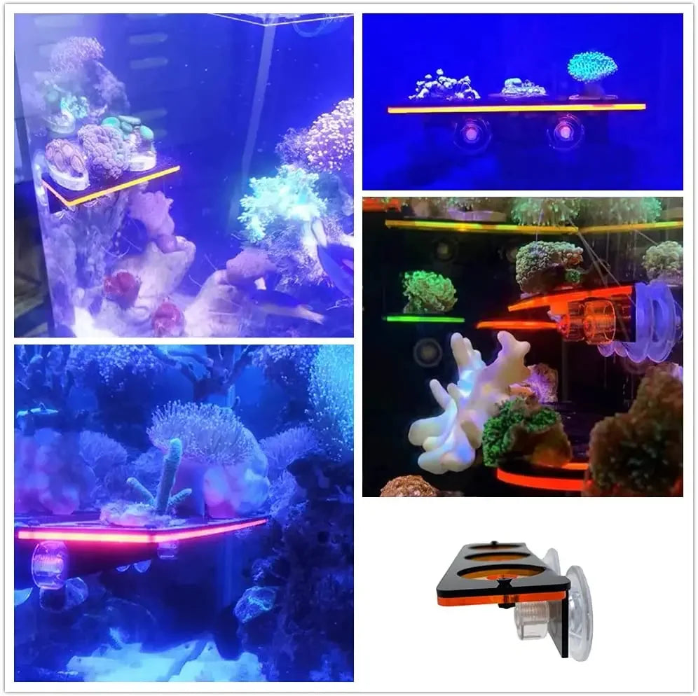 Fluorescent Coral Frag Bracket