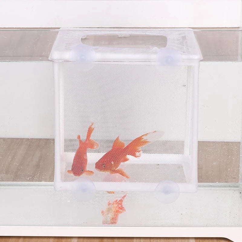 Fish Breeding Isolation Box