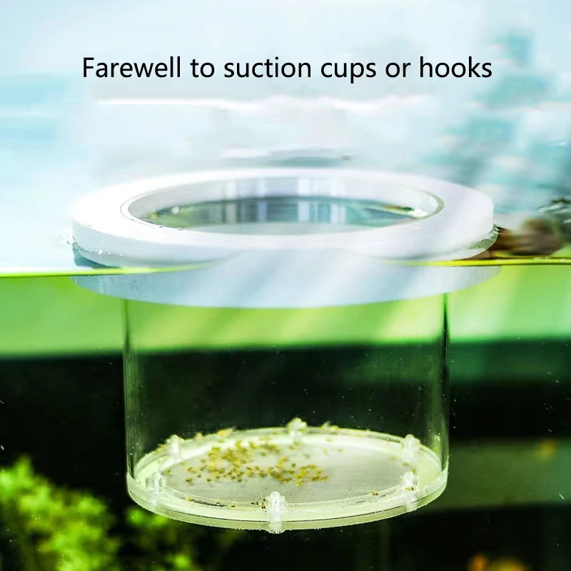 Fish Breeding Isolation Box