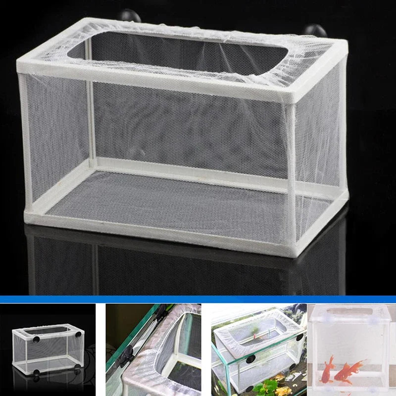 Fish Breeding Isolation Box