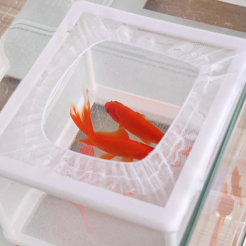 Fish Breeding Isolation Box