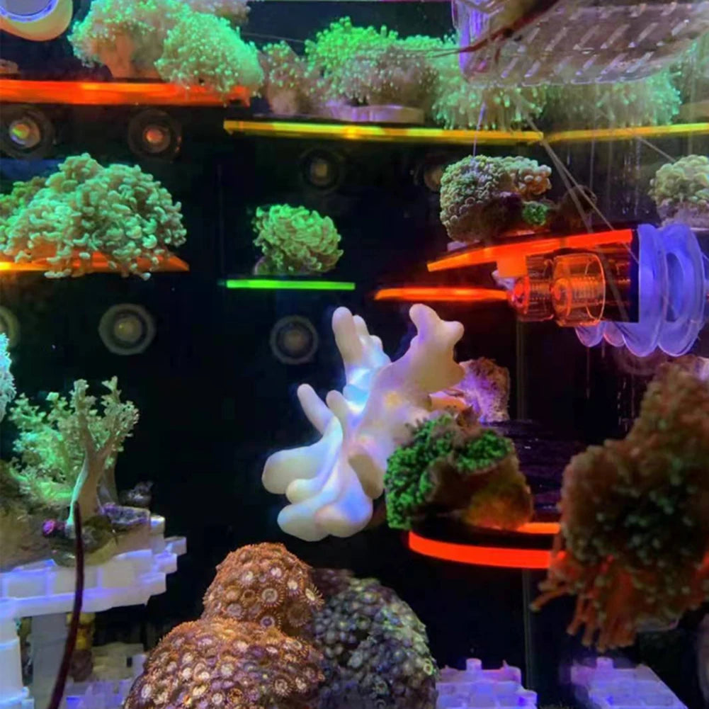 Fluorescent Coral Frag Bracket