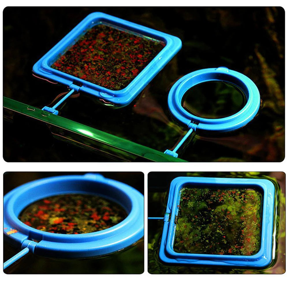 Fish Food Feeding Ring