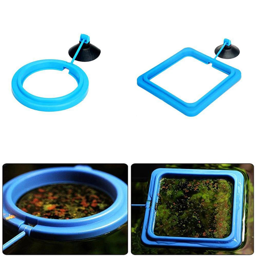 Fish Food Feeding Ring