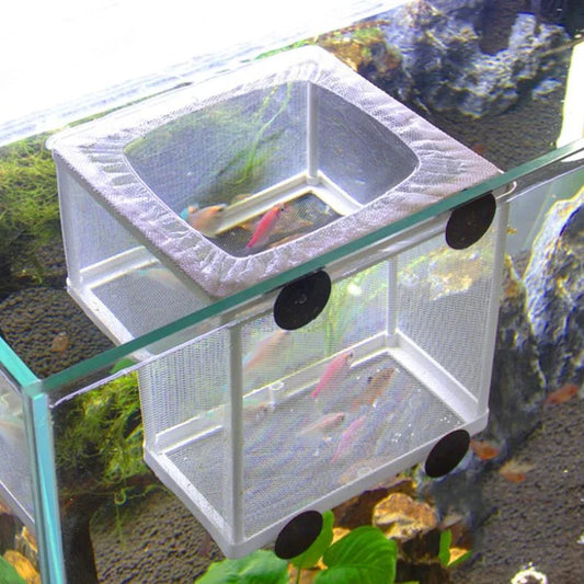 Fish Breeding Isolation Box