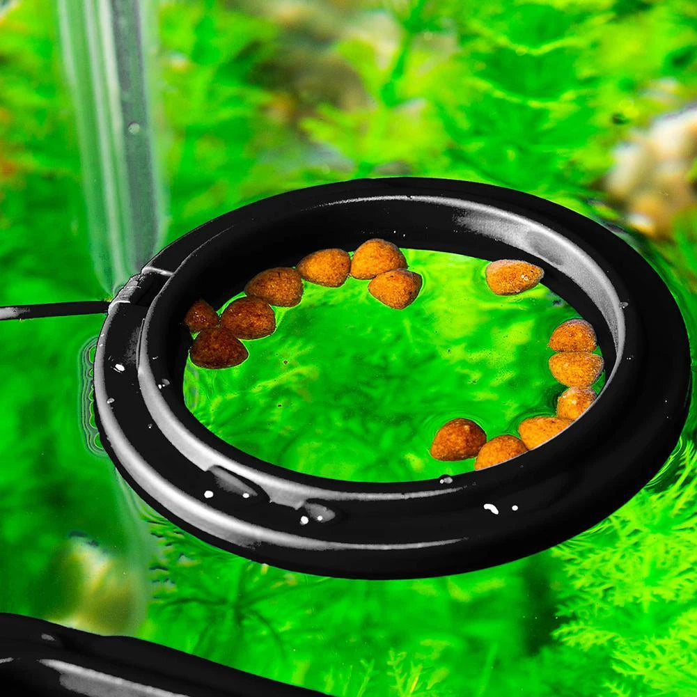 Fish Food Feeding Ring