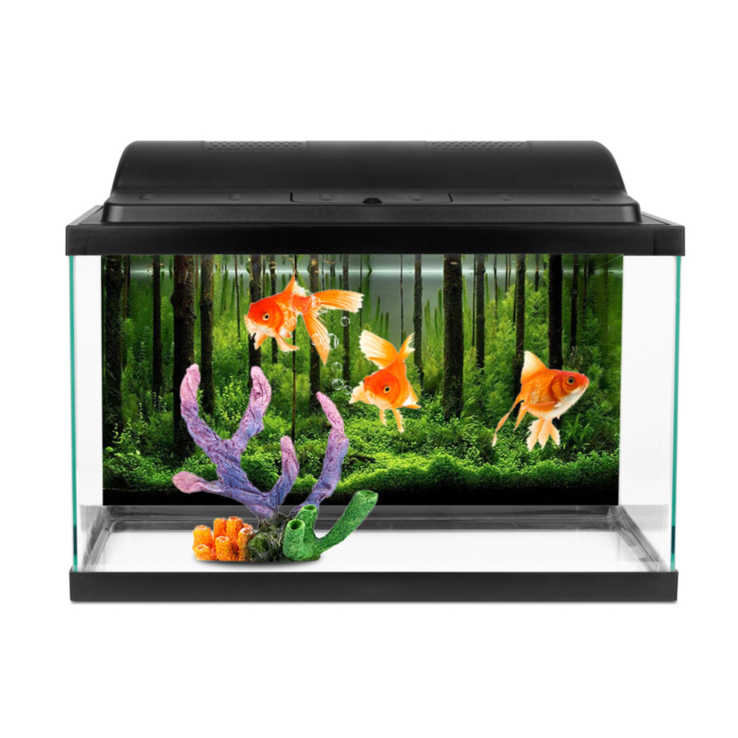 Double-sided Aquarium Background