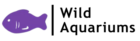 Wild Aquariums