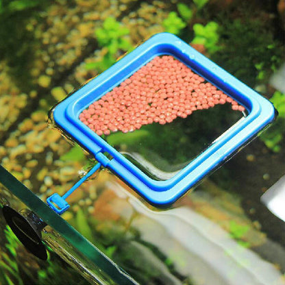 Fish Food Feeding Ring