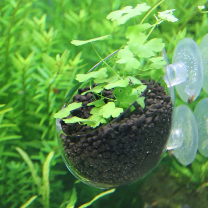 Aquarium Plant Soil Substrate